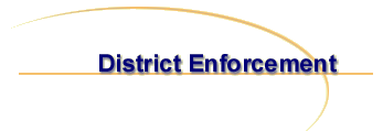 U.S. Customs District Enforcement