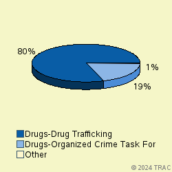 Pie chart of progcatlabel